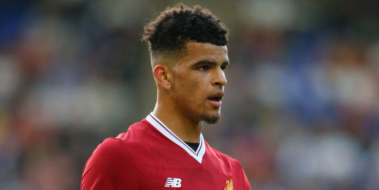 Former Liverpool coach excited by Dominic Solanke’s potential