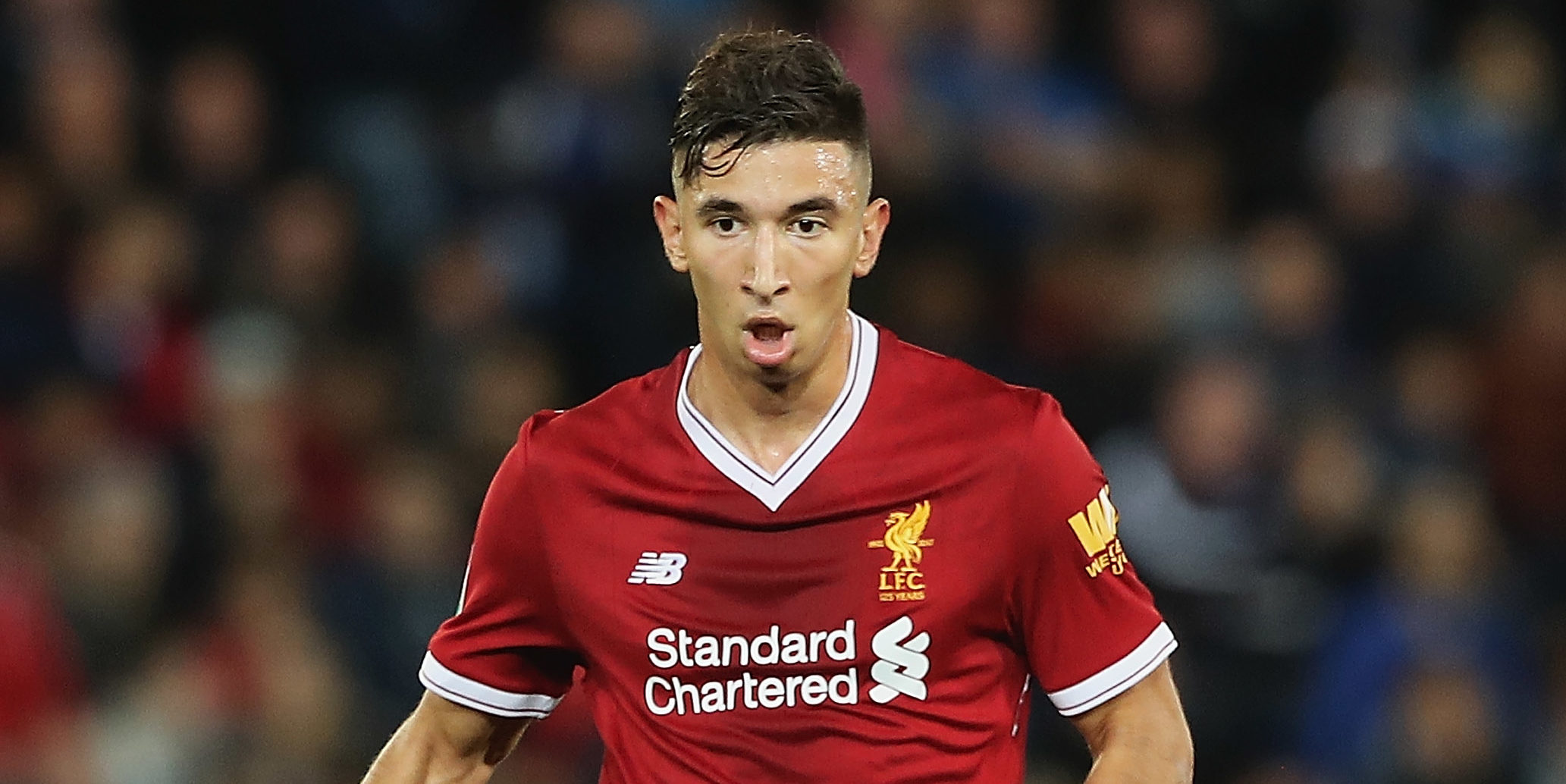 Fenerbahce looking to sign Grujic on loan