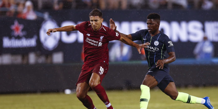 Grujic set for move to Hertha Berlin