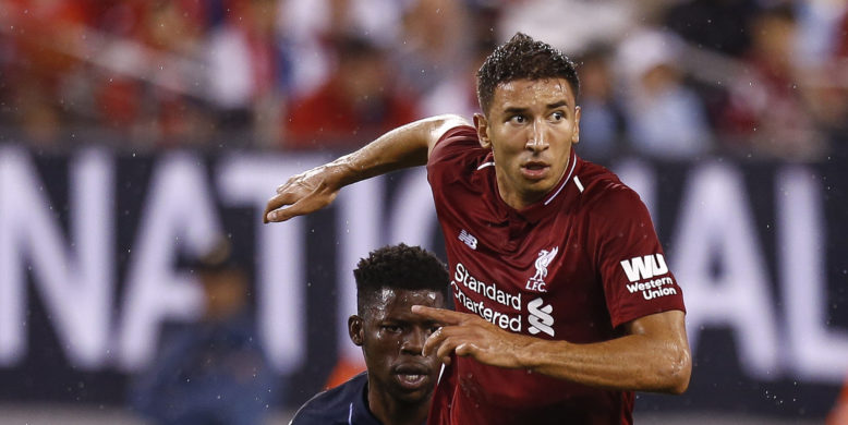 Liverpool have no intention to recall injured Marko Grujic