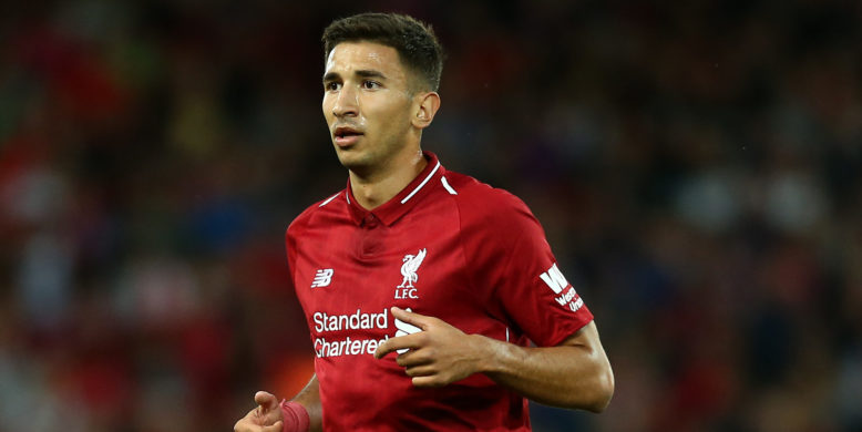 Marko Grujic ruled out until New Year with major ankle injury
