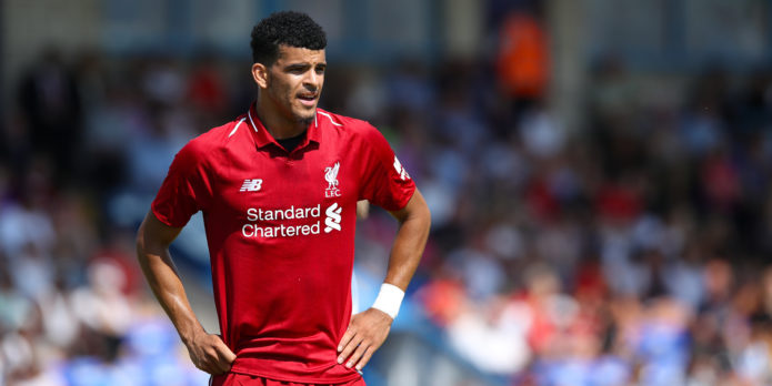 Hughton dismisses Solanke to Brighton links