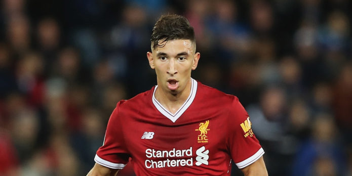 Grujic keen to extend Hertha Berlin stay