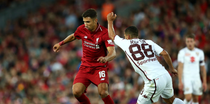 Werder Bremen boss in talks over Grujic move
