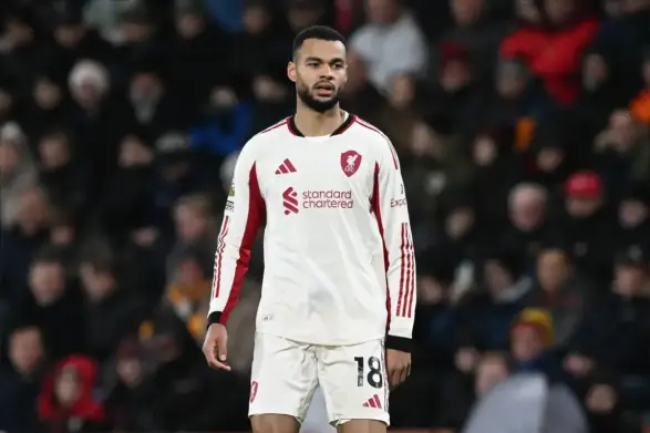 David Ornstein confirms Liverpool’s stance on selling Cody Gakpo this summer